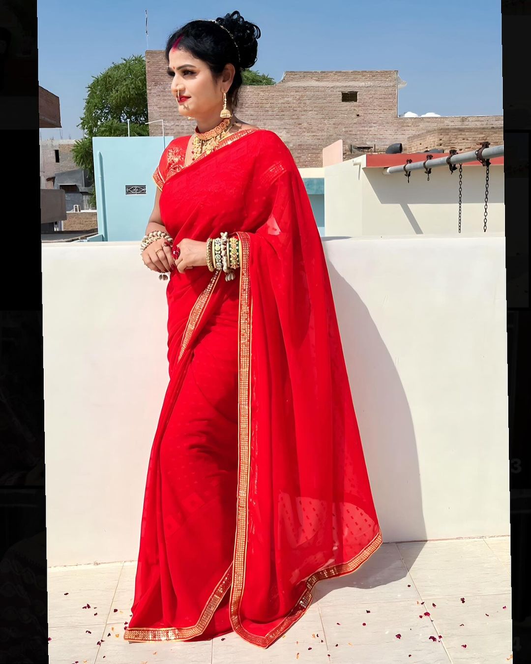 Stylish Festive Wear Saree with Blouse (ANC00108)