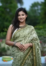 Vanya / A Chanderi Silk Shibori Saree - Image 2