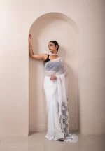 Pearl Perfection/ A Chikankari Chiffon Saree - Image 3