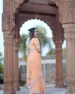 Diamond Work Saree - Image 5