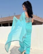 Zari Pattern Designer Saree with Blouse (ANC00102) - Image 2